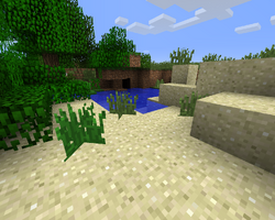 Tall grass on sand.png