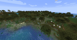 Swamp