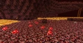 Cogumelos crescendo no Nether.