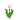 Tulipa Rosa