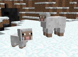 No Minecraft, uma vez colorida uma ovelha, para sempre colorida