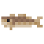 CodBody