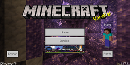 Bedrock 1.17.11