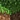 Minecraft - Volume Alpha cover