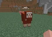 Jeb Sheep