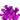 Bubble Coral