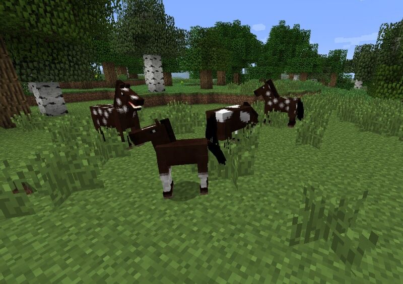 Como reproduzir cavalos em Minecraft