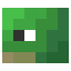 TurtleFace