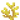 Horn Coral