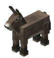 Donkey