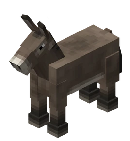 Donkey