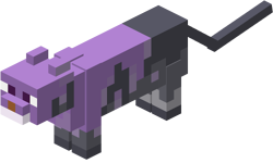 Gato roxo mostrado no Minecraft Earth.