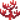 Fire Coral