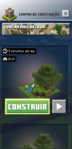 Chapas de construção