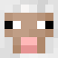 SheepFace