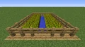 Uma fazenda de trigo simples, com uma cerca em torno dela para protegê-la de mobs e um portão para o acesso.