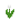 Tulipa Branca