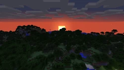 Exemplo de pôr do sol visto do topo de uma árvore da selva.