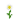 Margarida