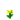 Dente-de-Leão