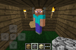 Edicao Pocket Minecraft Wiki