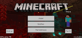Bedrock 1.16.221