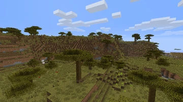 Savanna Plateau