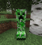 Creeper in forest