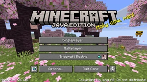 Java Edition 26.1.2
