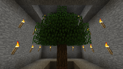 UndergroundTree