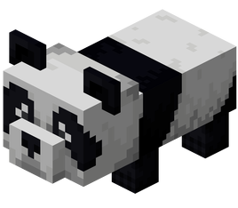 Baby Panda