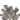 Dead Bubble Coral
