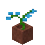 Modrá orchidej v květináči