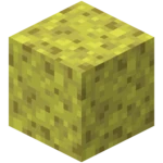 Mořská houba-nová textura