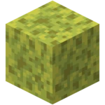 Mokrá mořská houba-nová textura