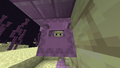 Ein Shulker an einer Endsiedlung.