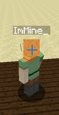 LabyMod Show my Name Ingame