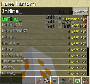 LabyMod Namehistory Ingame
