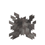 Abgestorbene Blasenkoralle