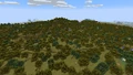 Urprünglich als Wald generiert, liegt er wegen Wechsel des Biomcodes jetzt in einem Wüstenbiom.