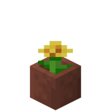 Eingetopfter Löwenzahn