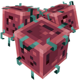 Sprengpilz (Dungeons)