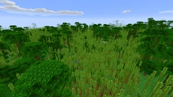 Bambus | Minceraft Wiki | Fandom