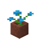 Eingetopfte blaue Orchidee