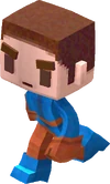 Steve (Survival Test)