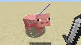Hitbox Schwein.png
