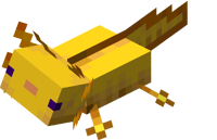 Goldener Axolotl liegt