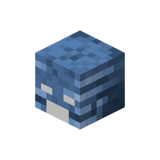 Blauer Witherschädel