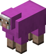 Magenta Schaf