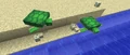 Schildkröteneier mitsamt Schildkröten auf dem Banner von Vollversion 1.13 (18w07a)